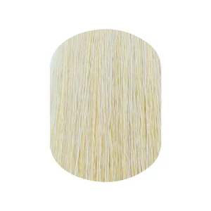 10.0 Natural Lightest Blonde 60ml krém hajfesték