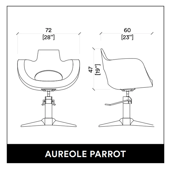 AUREOLE PARROT