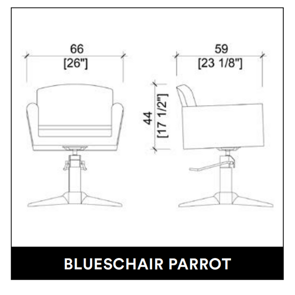 Kép 2/2 - BLUESCHAIR PARROT