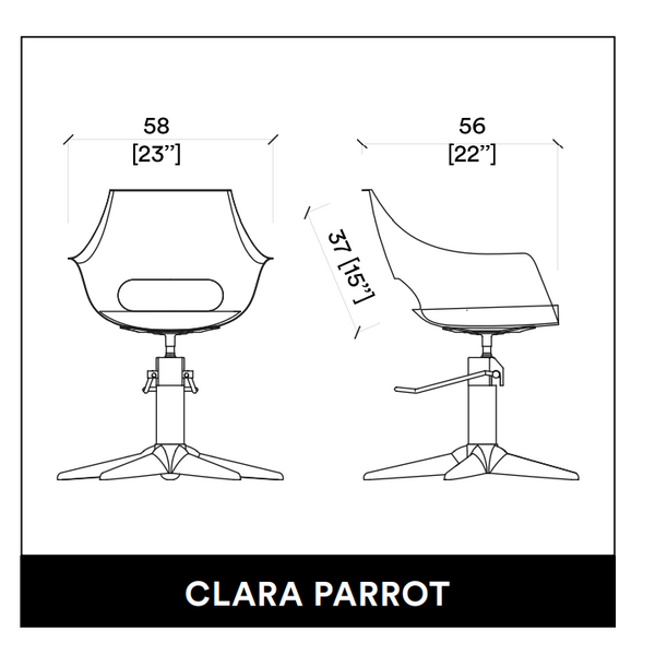 Kép 2/2 - CLARA PARROT